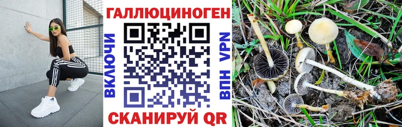 Псилоцибиновые грибы мухоморы  Купить закладки  Полтавская 